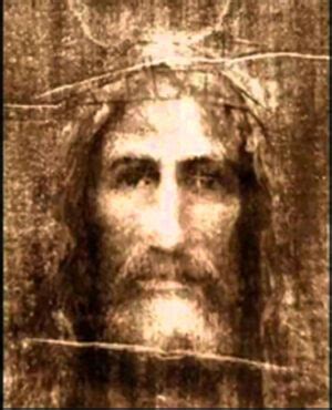 shroud of turin dna|the shroud of turin website.